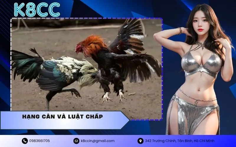 hạng cân và luật chấp