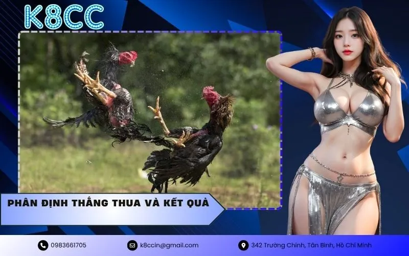 phân định thắng thua và kết quả