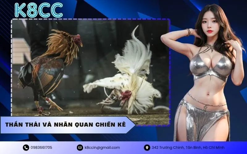 thần thái và nhãn quan chiến kê