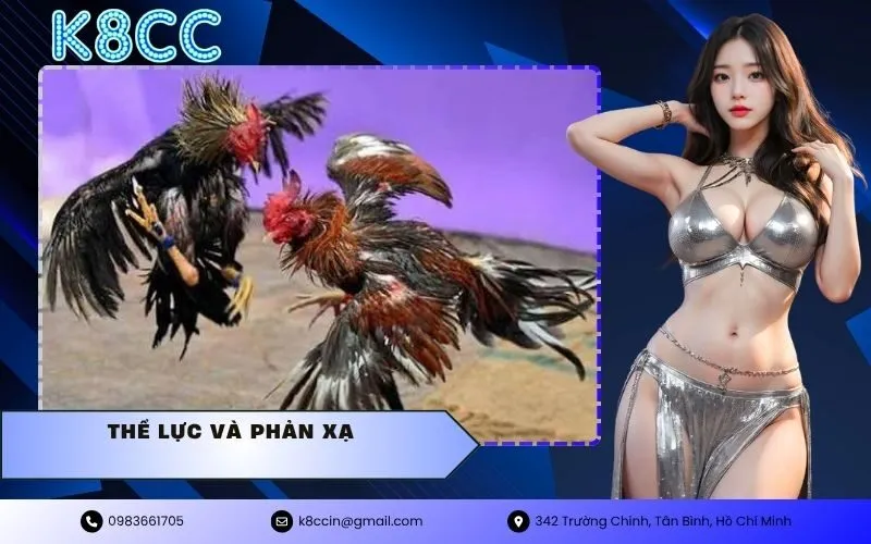 thể lực và phản xạ