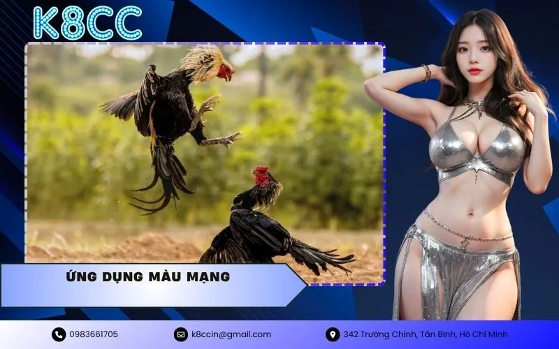 ứng dụng màu mạng